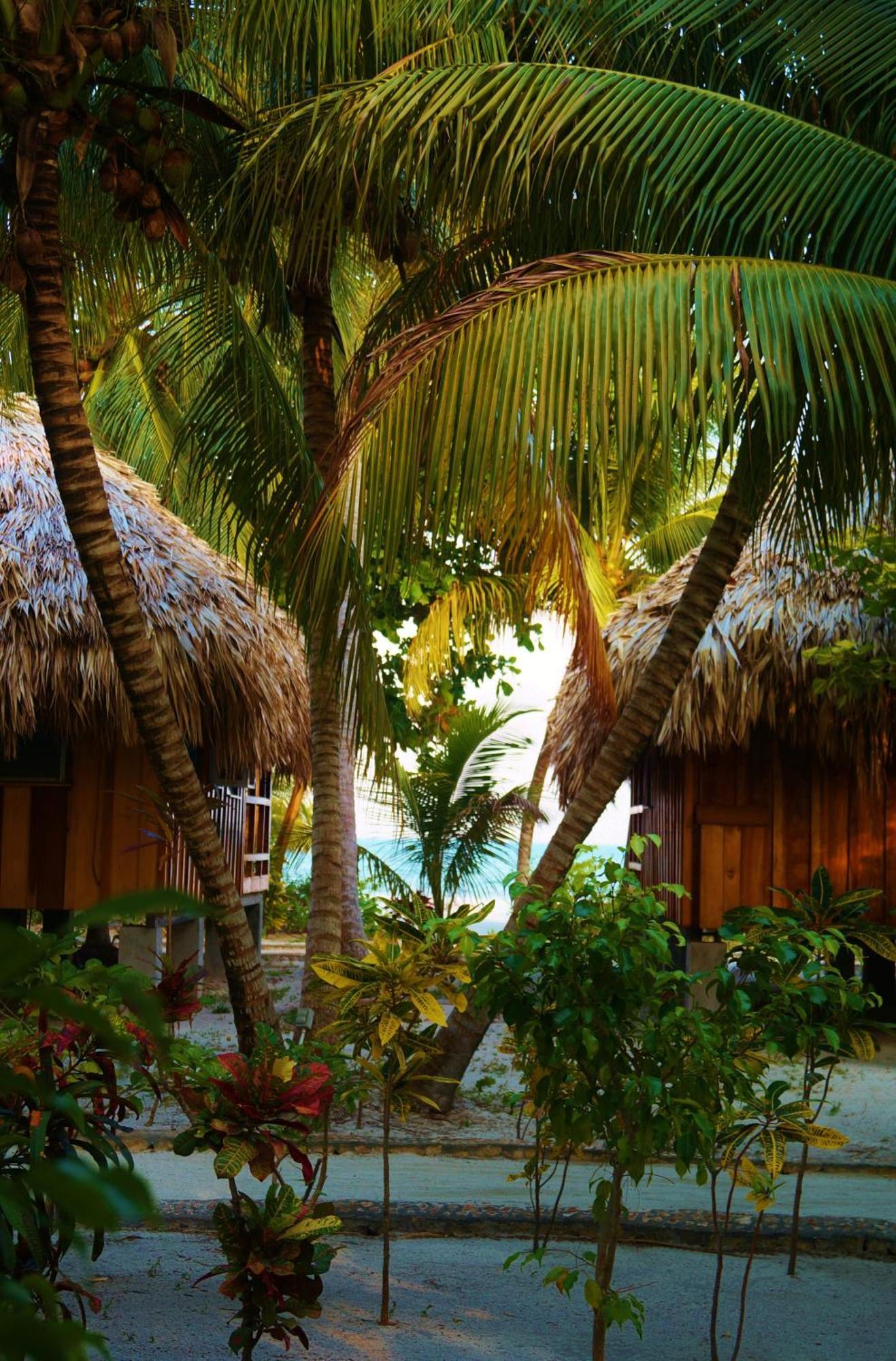 St. George'S Caye Resort Cidade de Belize Quarto foto