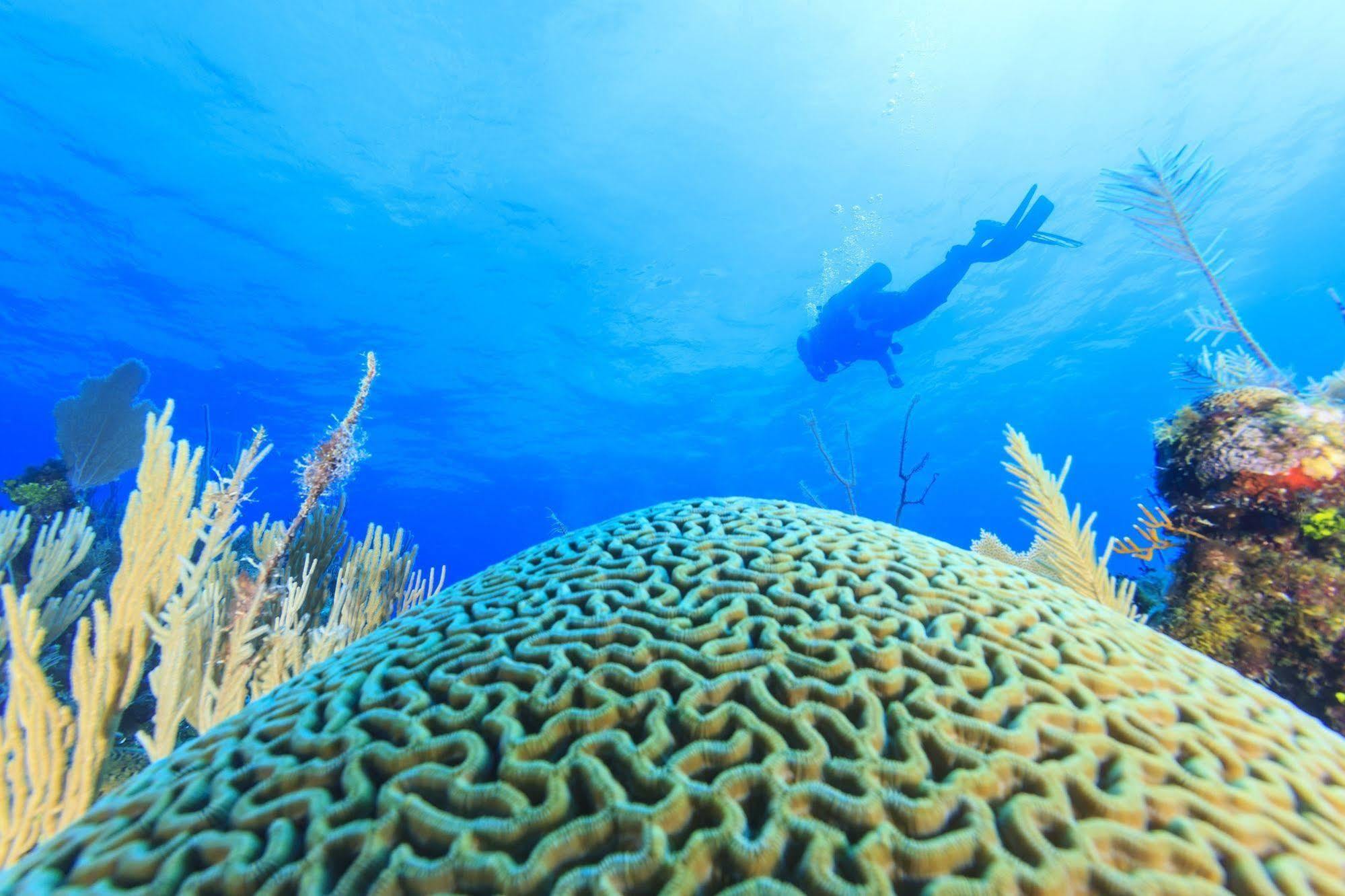 St. George'S Caye Resort Cidade de Belize Exterior foto